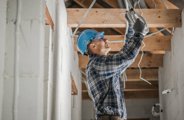 Best Electric Panel Repair  in Weldon, NC